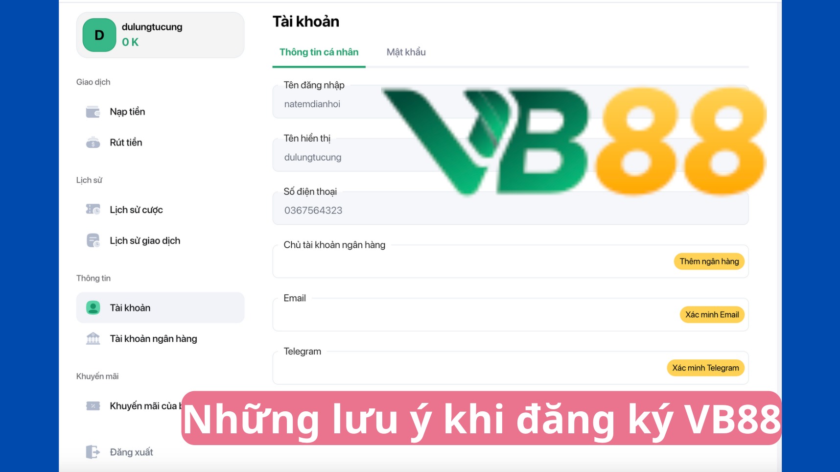 Những lưu ý khi thực hiện đăng ký VB88